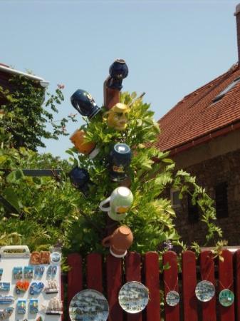 Tihany - Jar Tree